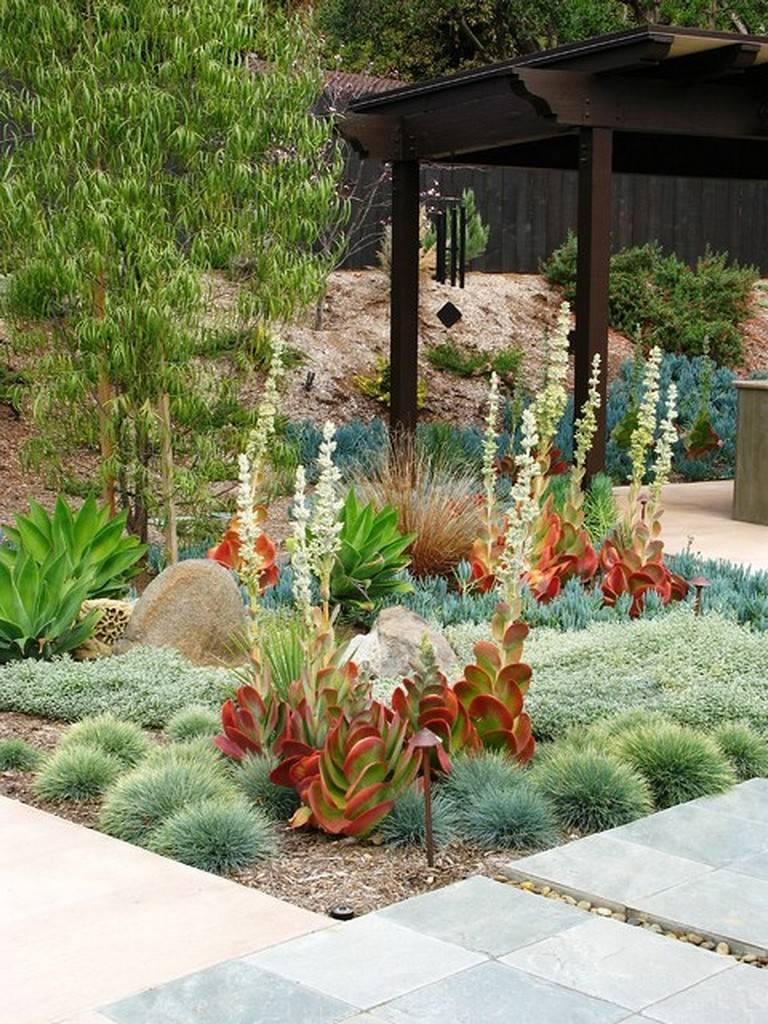 Lowwater Landscaping Ideas