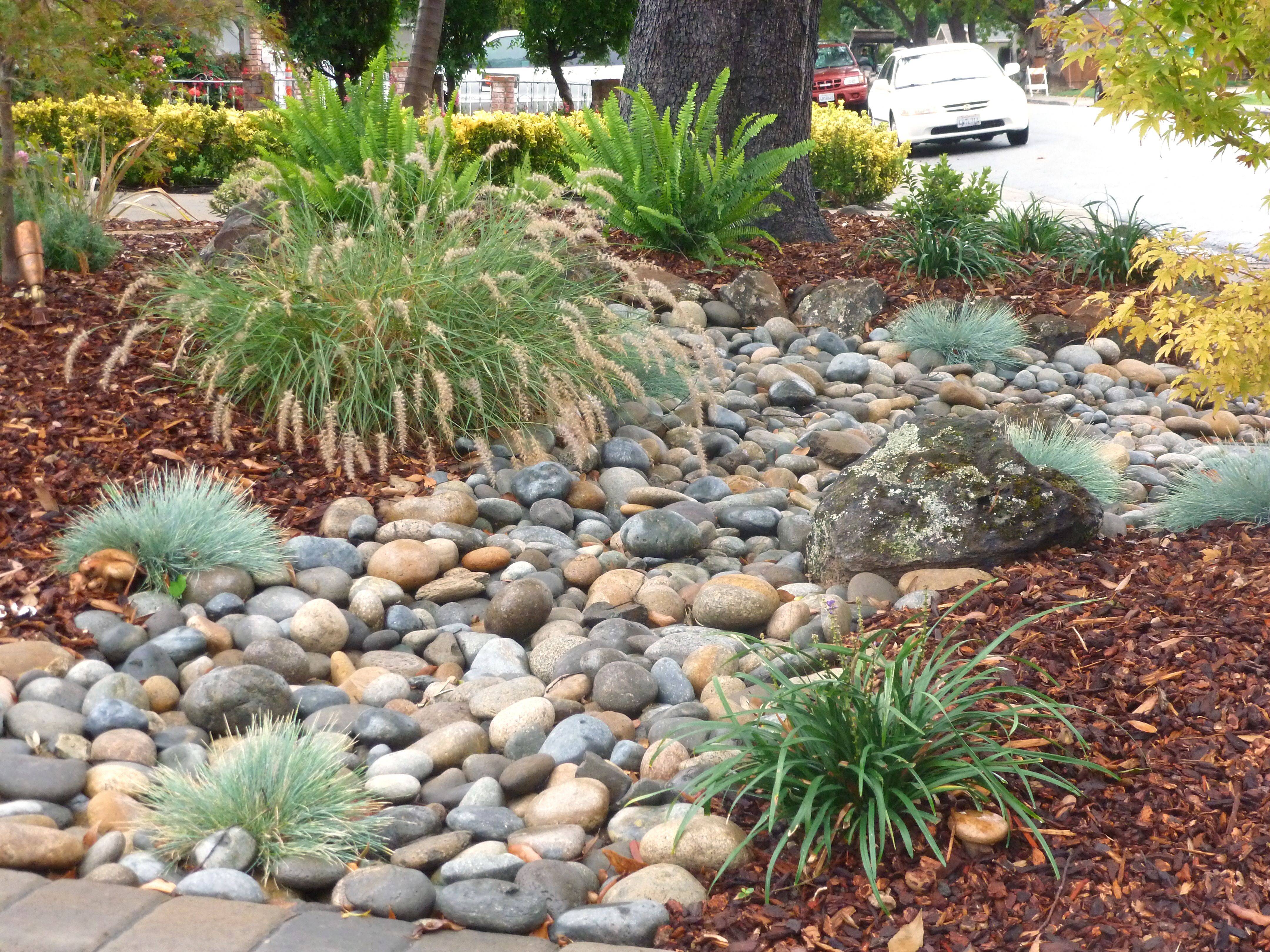 Lowwater Landscaping Ideas