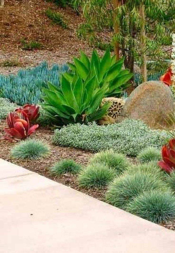 Lowwater Landscaping Ideas