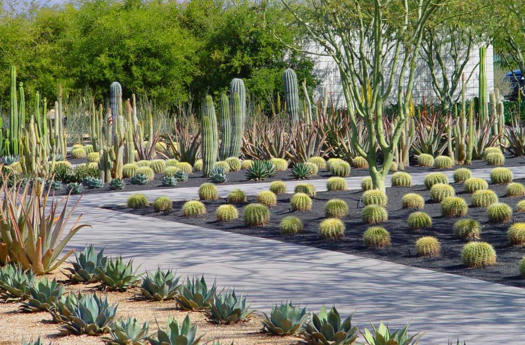 Best Lowwater Landscaping Ideas