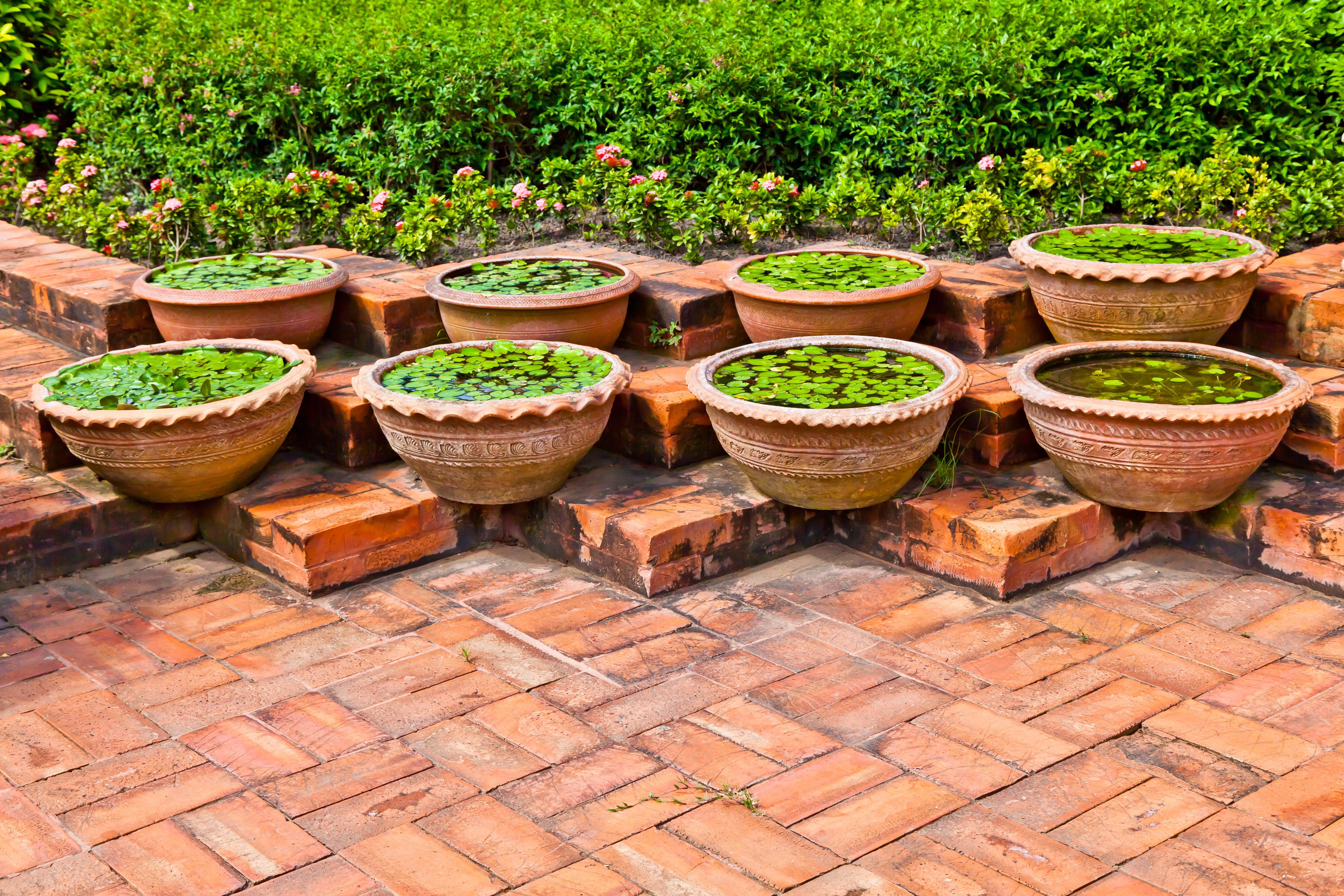 Best Lowwater Landscaping Ideas