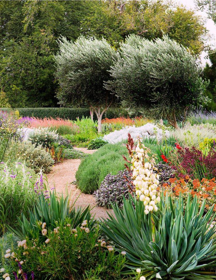Incredible Lowwater Landscaping Ideas
