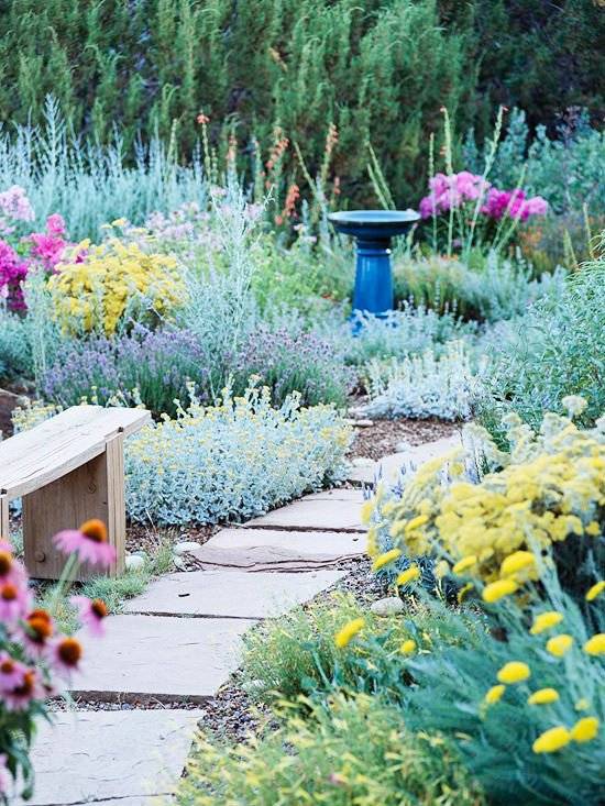 Affordable Low Water Garden Landscapes Design Ideas