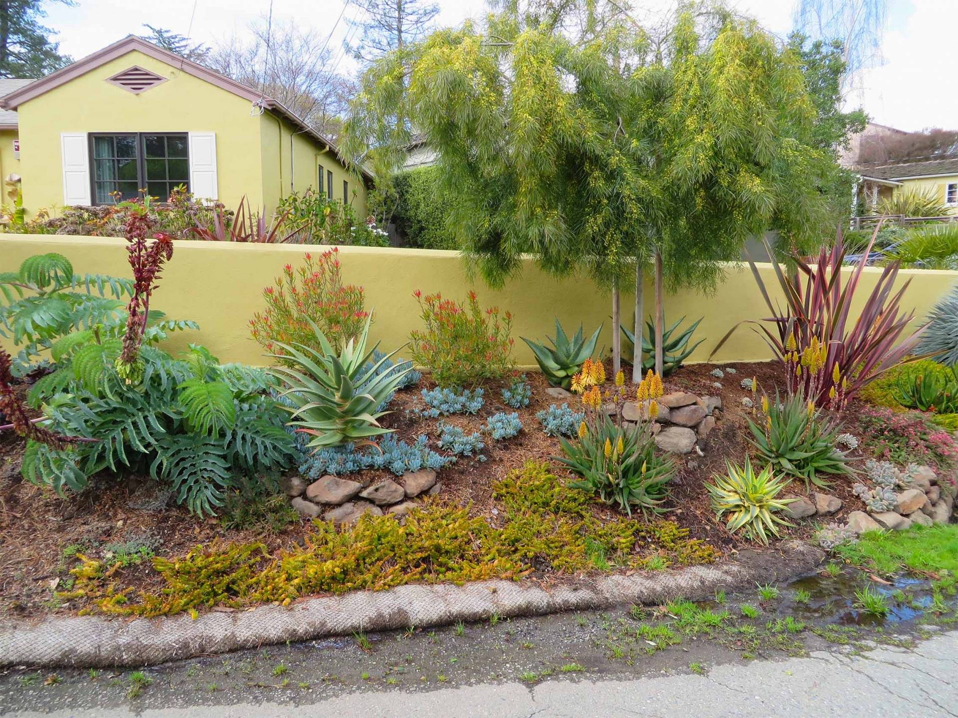 Amazing Low Water Landscaping Ideas Landscaping Expert Tips