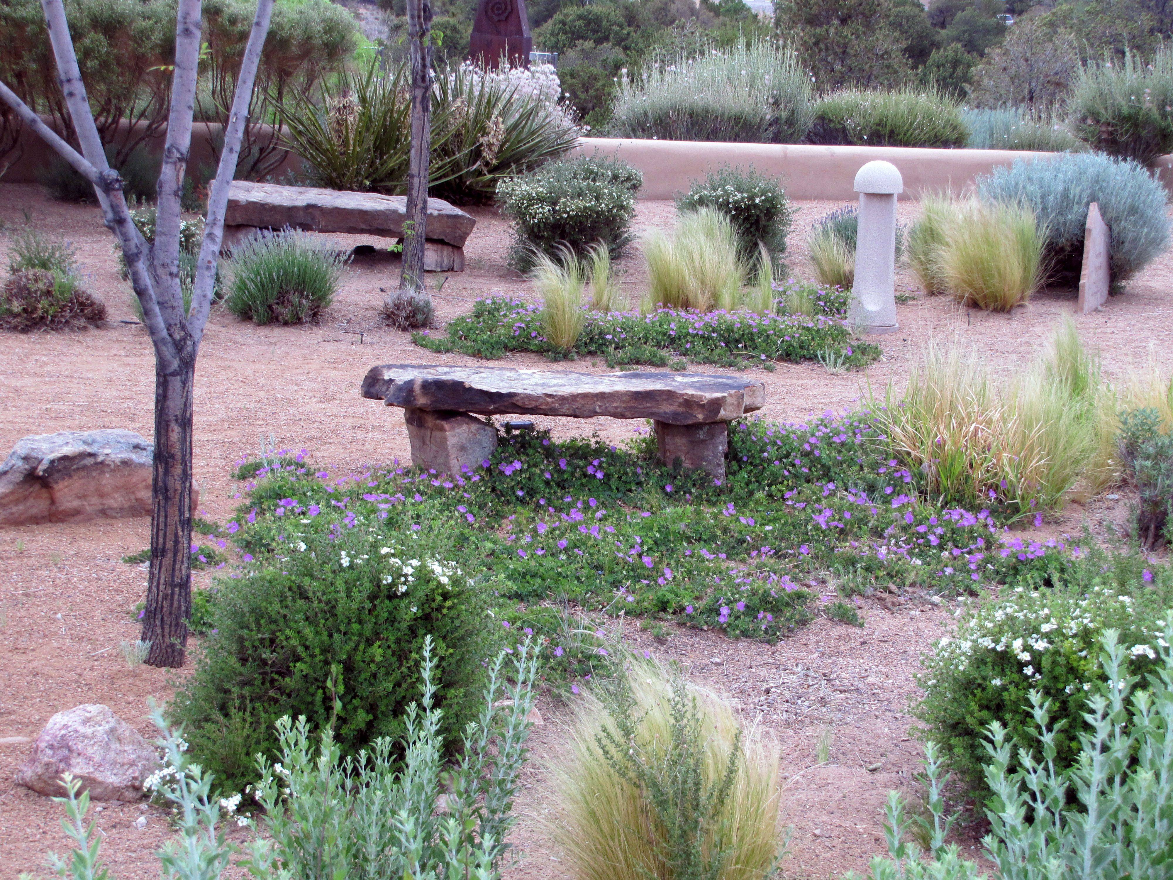 Modern Lowwater Garden