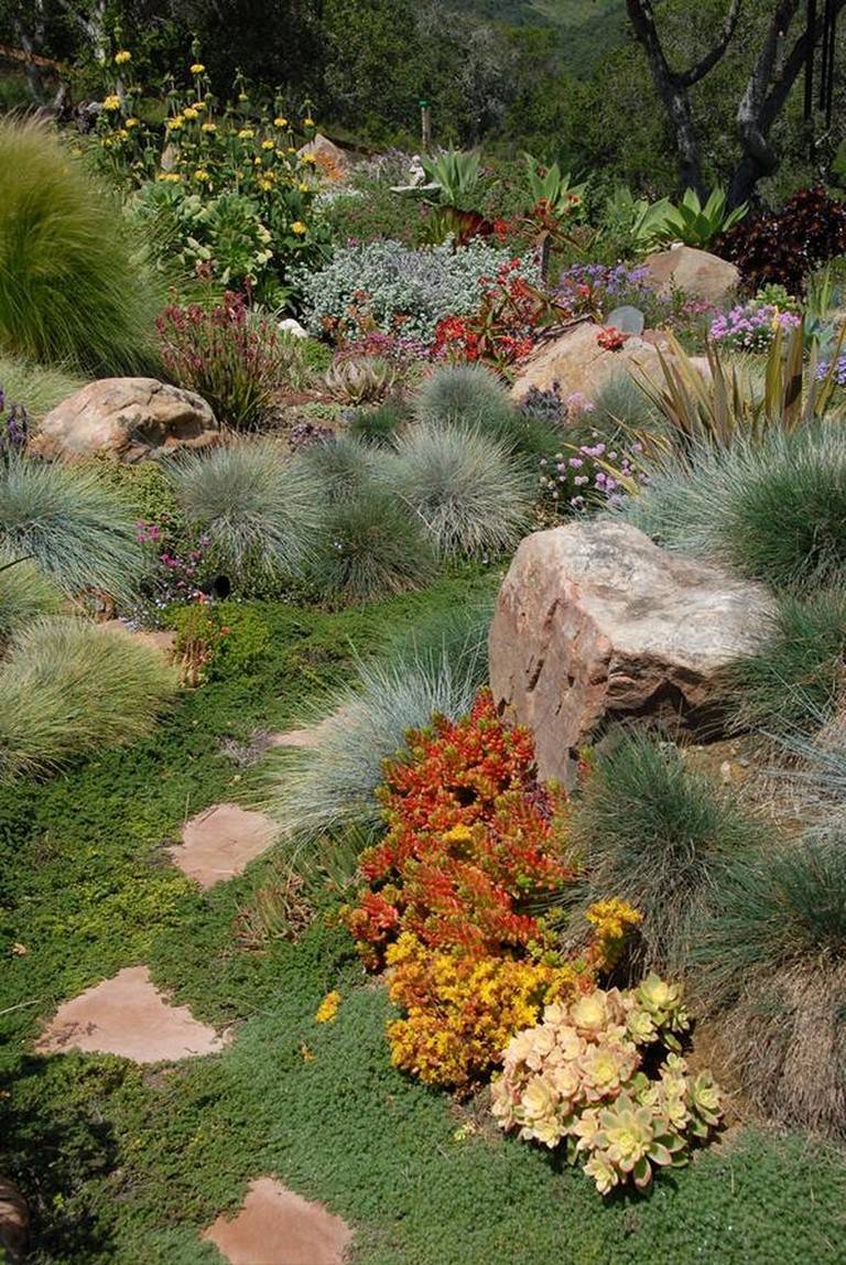 Succulents And Low Water Gardens Archives Magic Gardens Landscaping