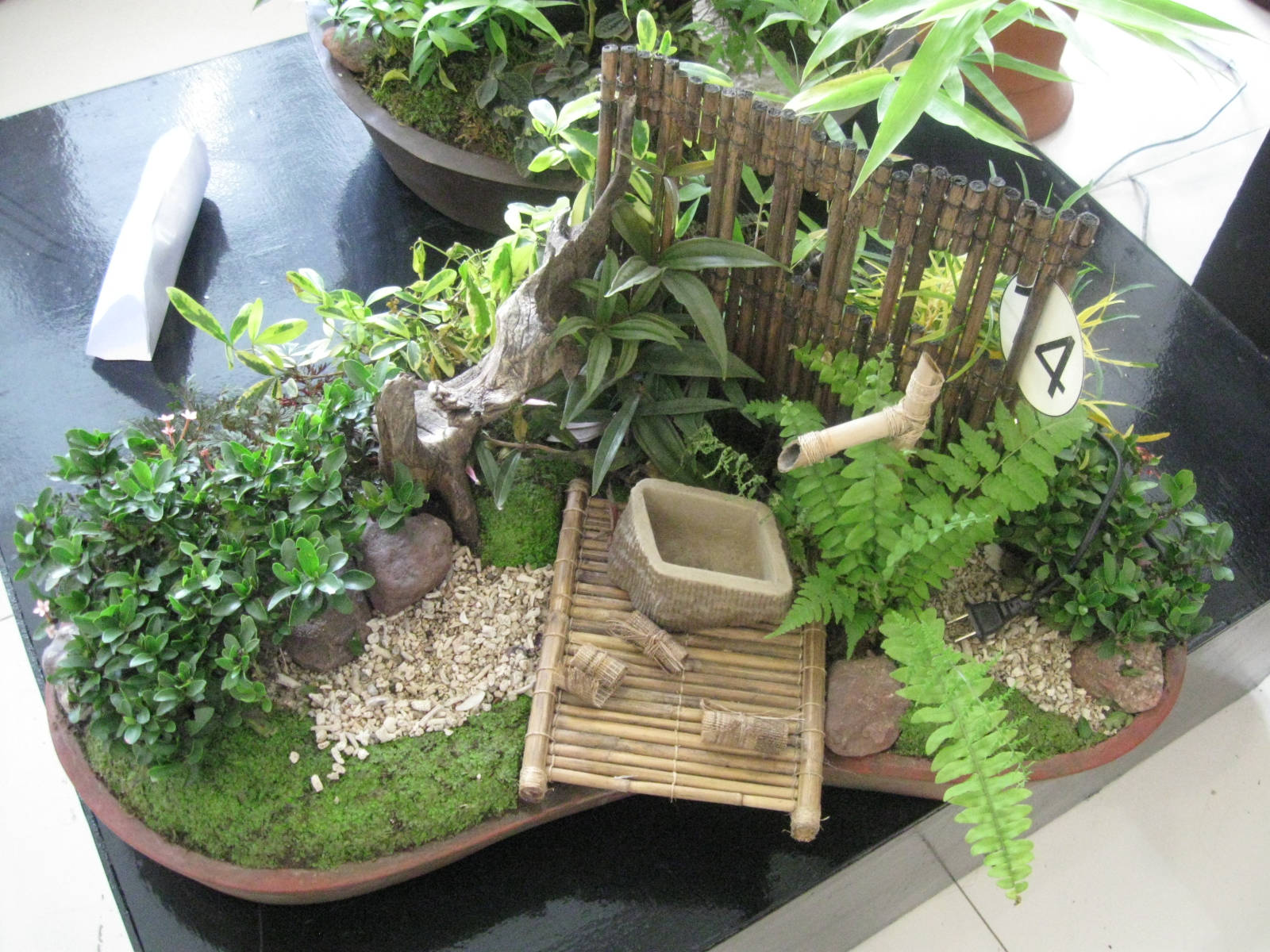 Indoor Succulent Dish Garden Ideas Succulent Plant