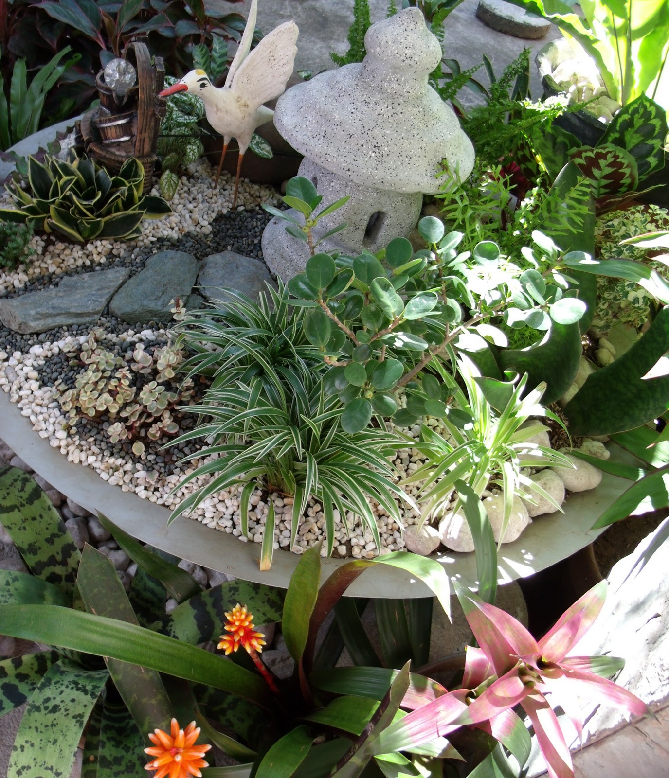 The Deck Dish Garden