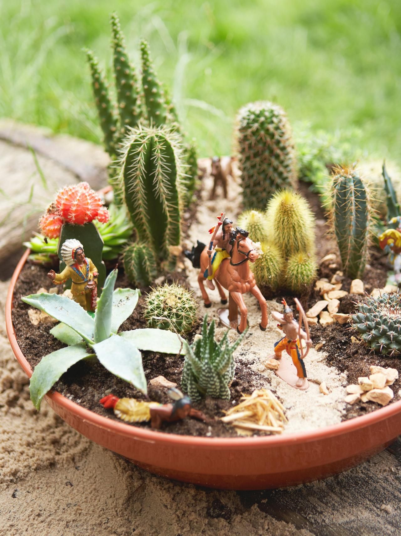 Succulent Garden Ideas