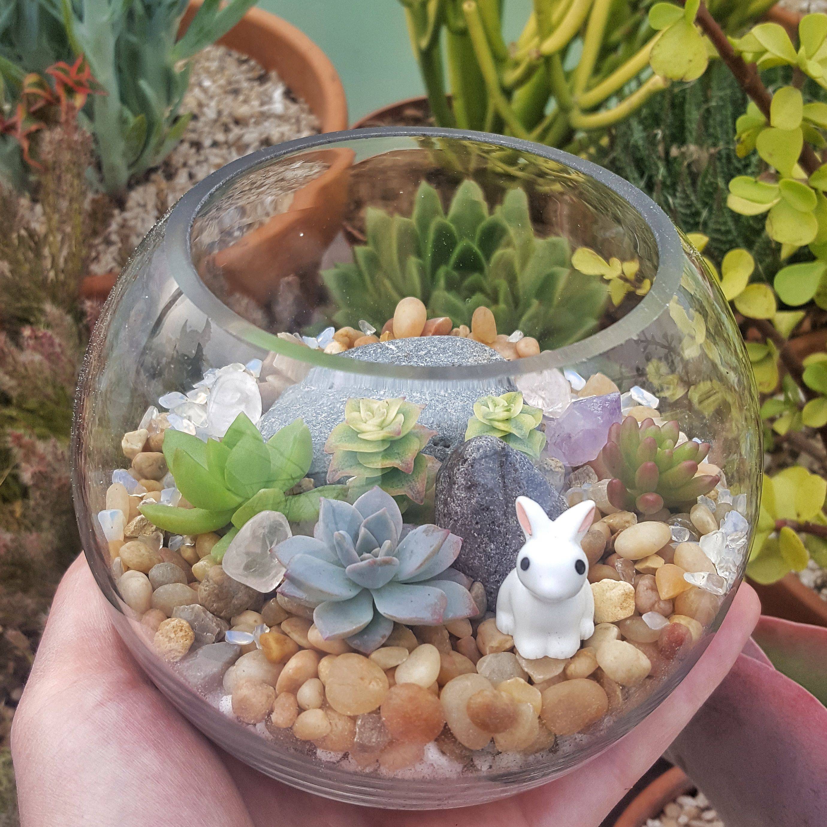 A Succulent Terrarium