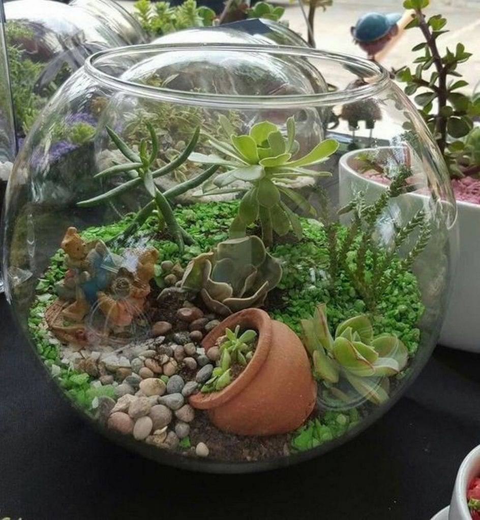 Succulent Terrarium