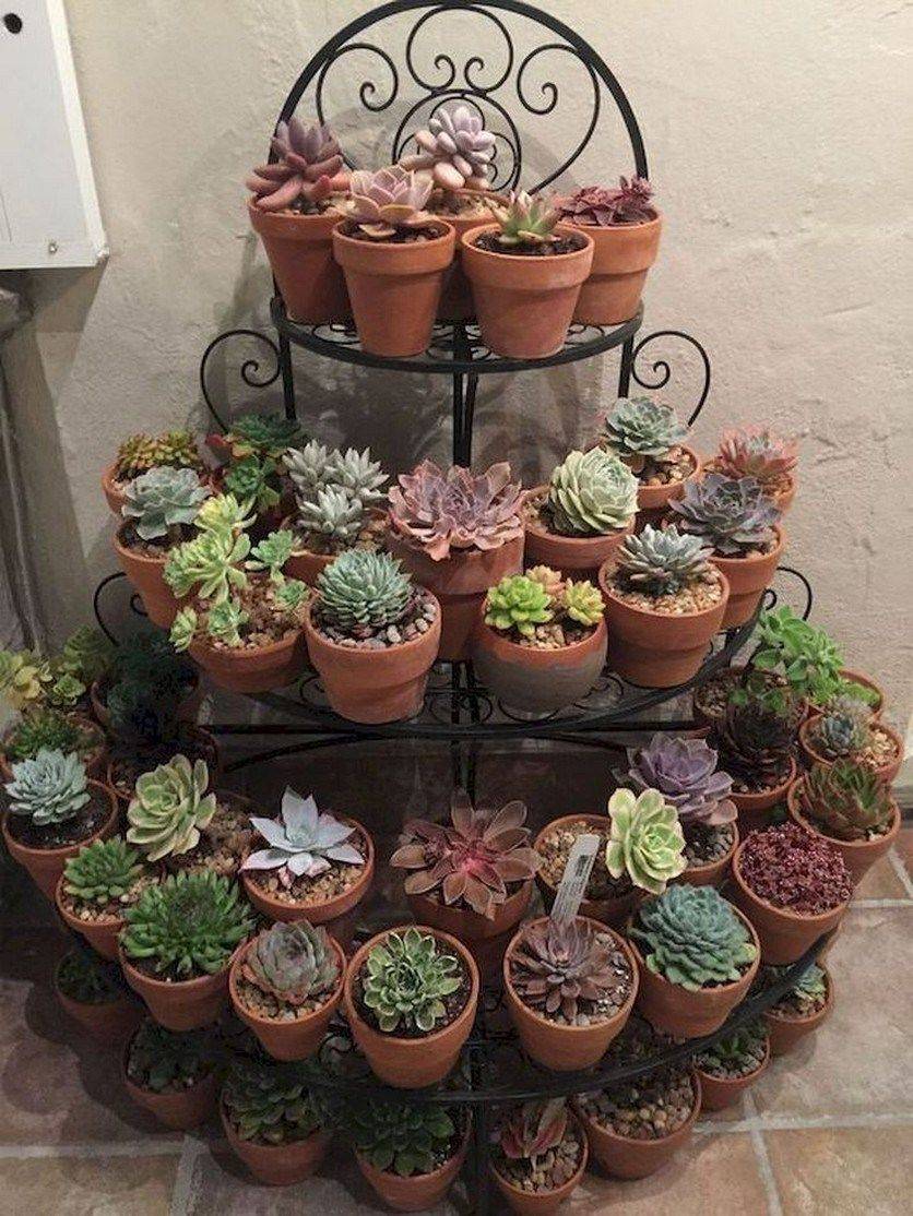 Houseplant Indoor Decorations Page