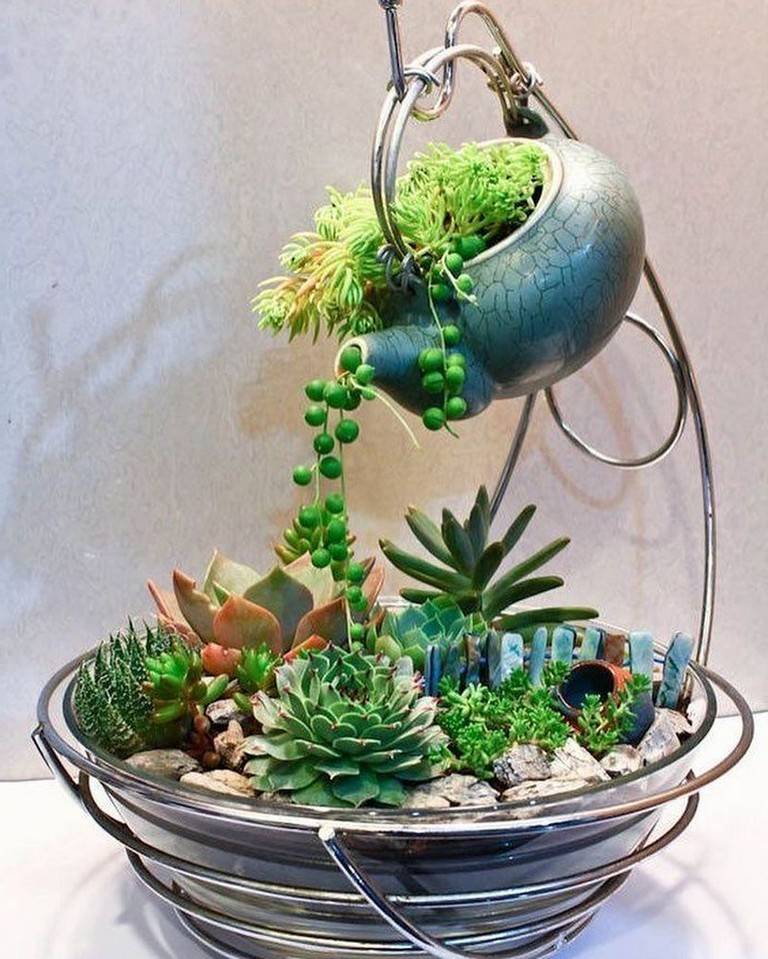 Best Succulent Garden Ideas