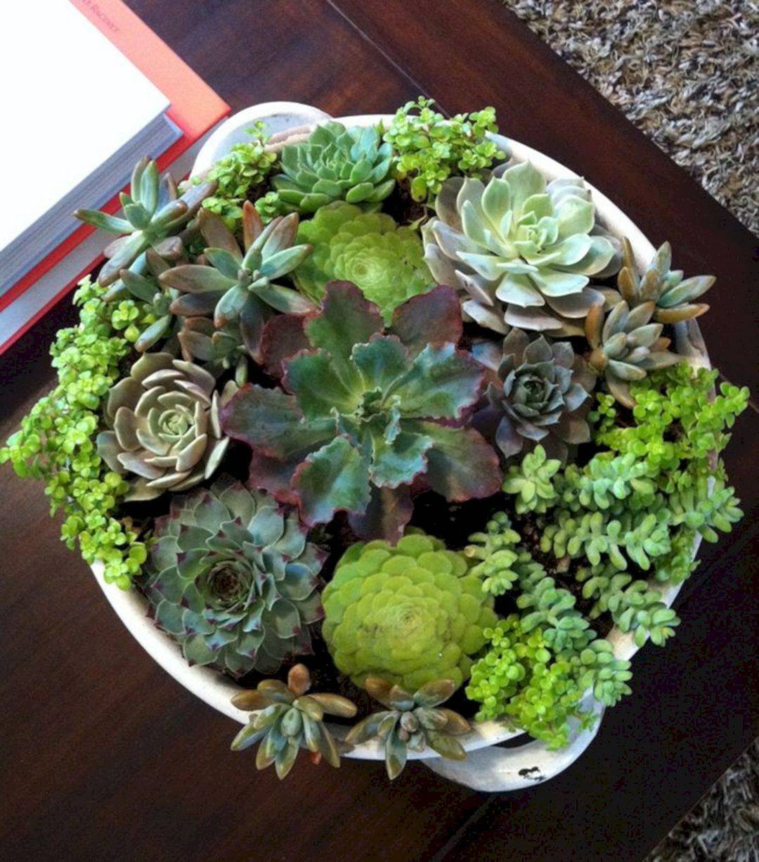 Stunning Apartment Garden Indoor Ideas