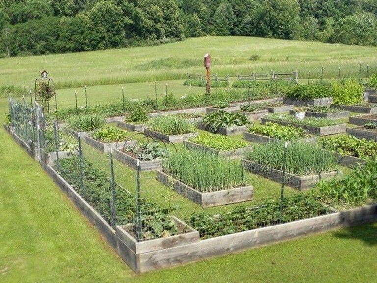Inspiring Homestead Farm Garden Layout And Design Ideas