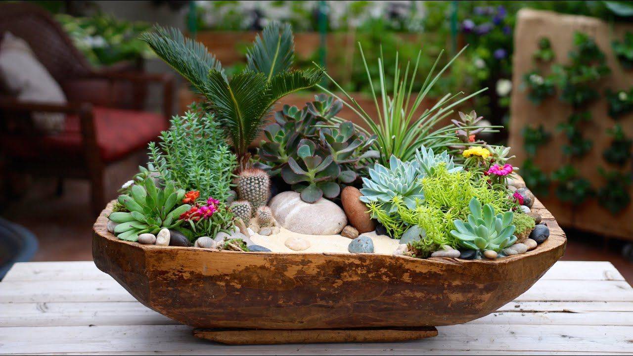 Indoor Succulent Dish Garden Ideas Succulent Plant