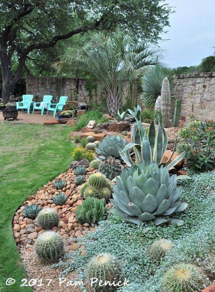 Beautiful Cactus Landscaping Ideas