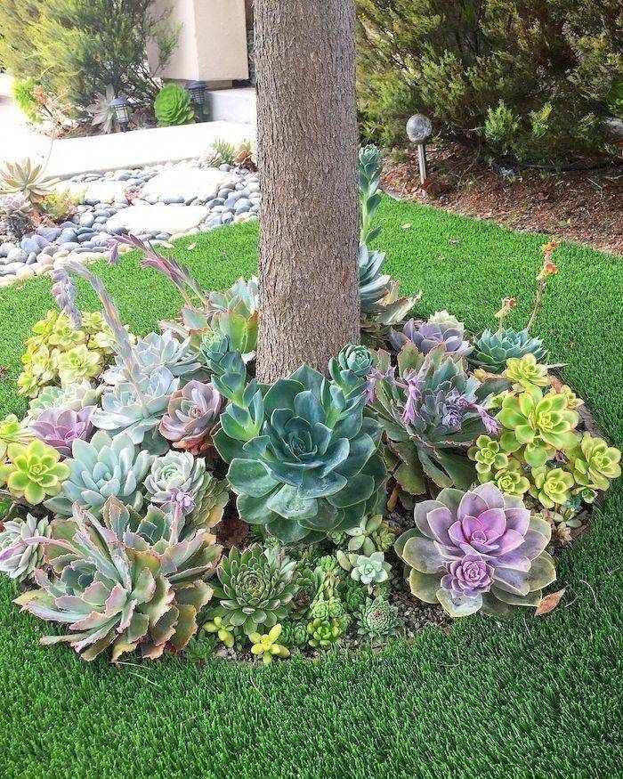 Colorful Cactus Gardens