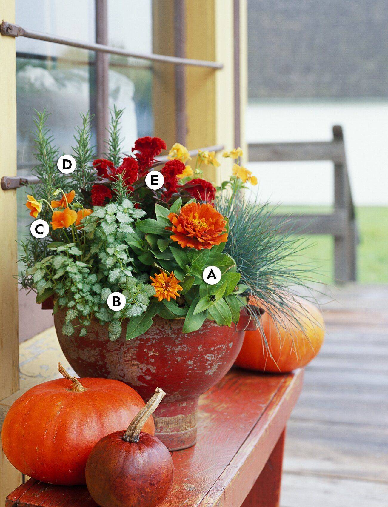 Container Garden Combination Fall Container Gardens