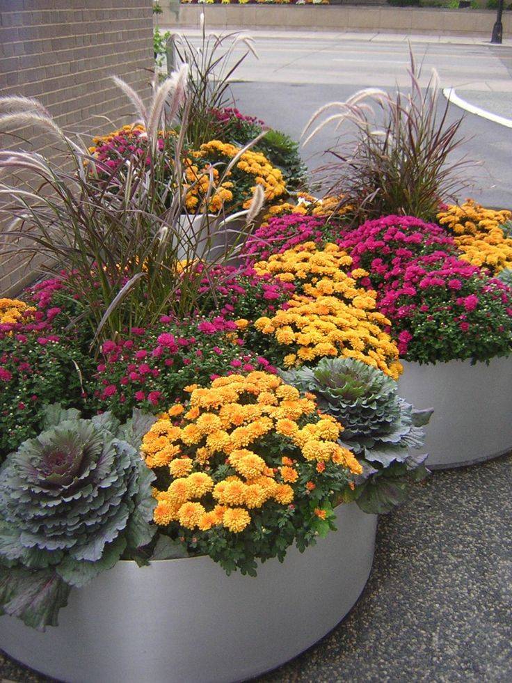 These Beautiful Fall Planters