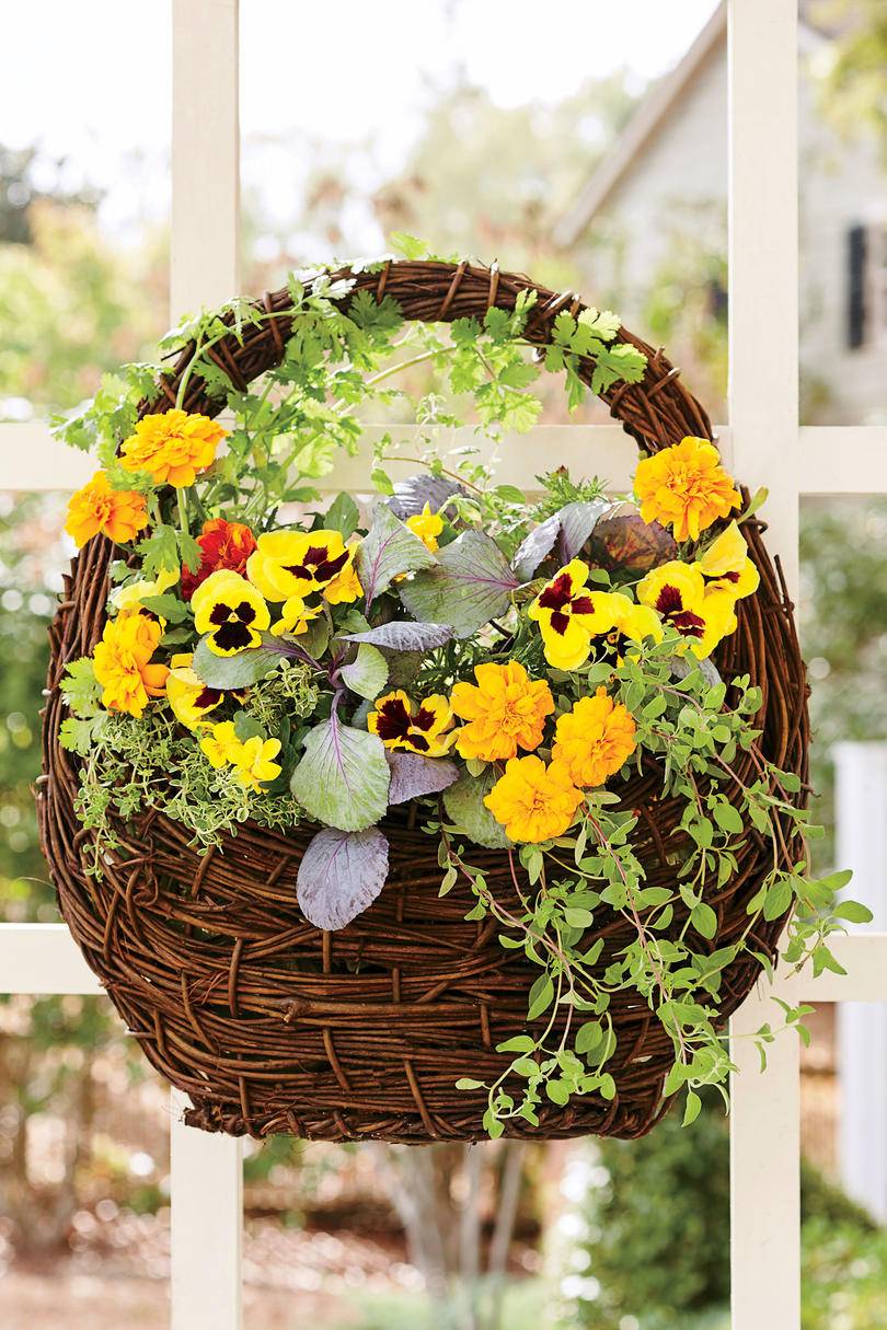 Todd Holloway Container Garden Fall Container