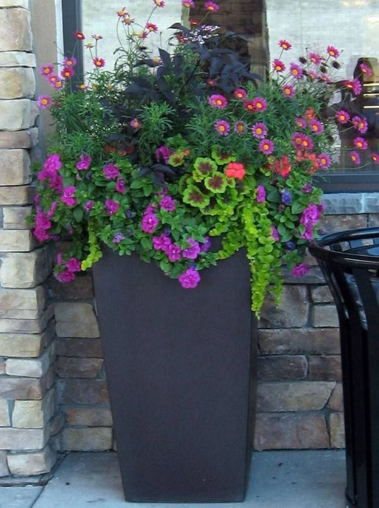 23 Container Gardening Ideas for Summer Worth a Look SharonSable