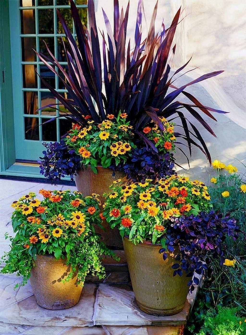 Summer Color Container Planting Ideas