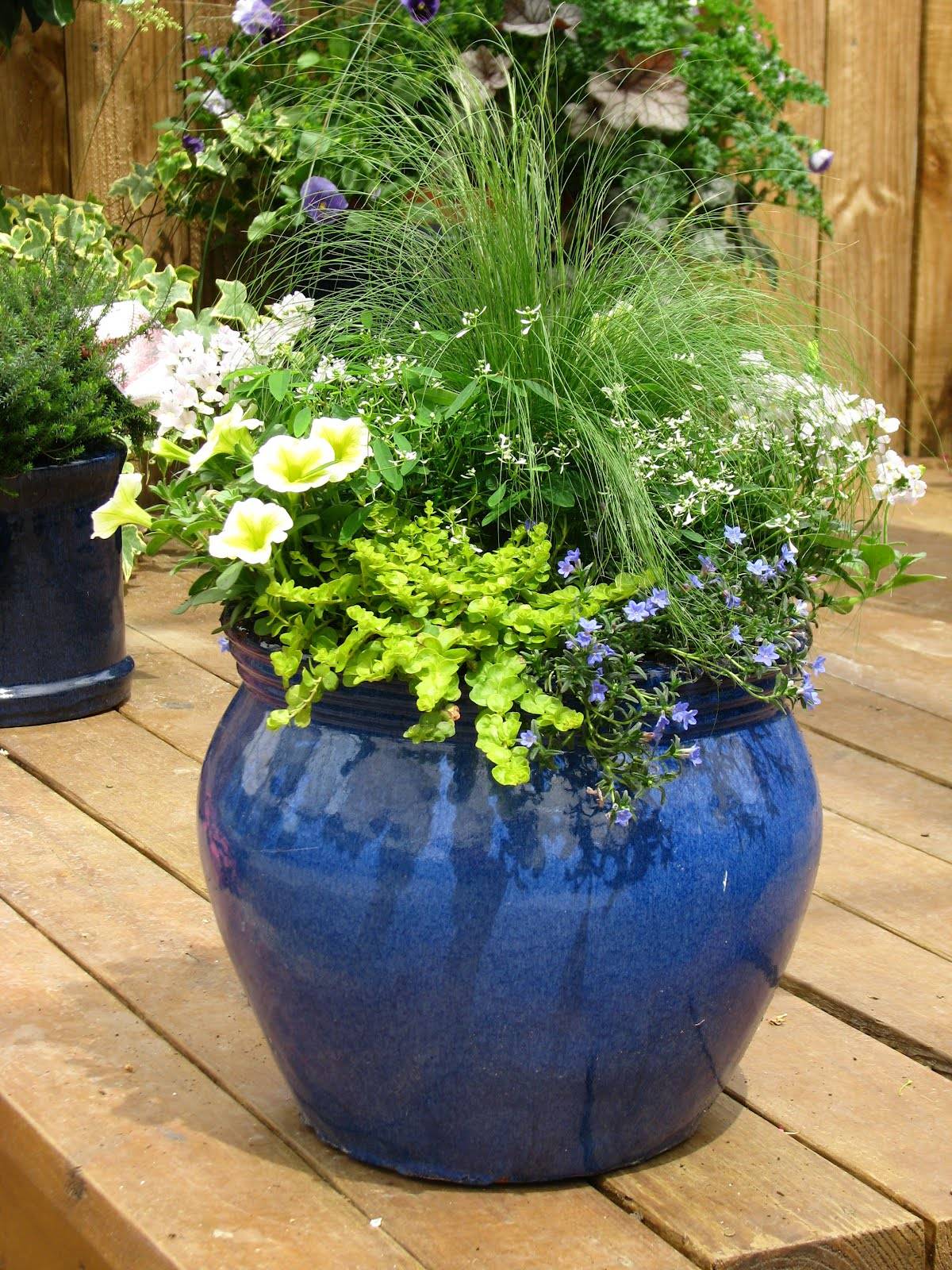 Container Garden Combination Fall Container Gardens