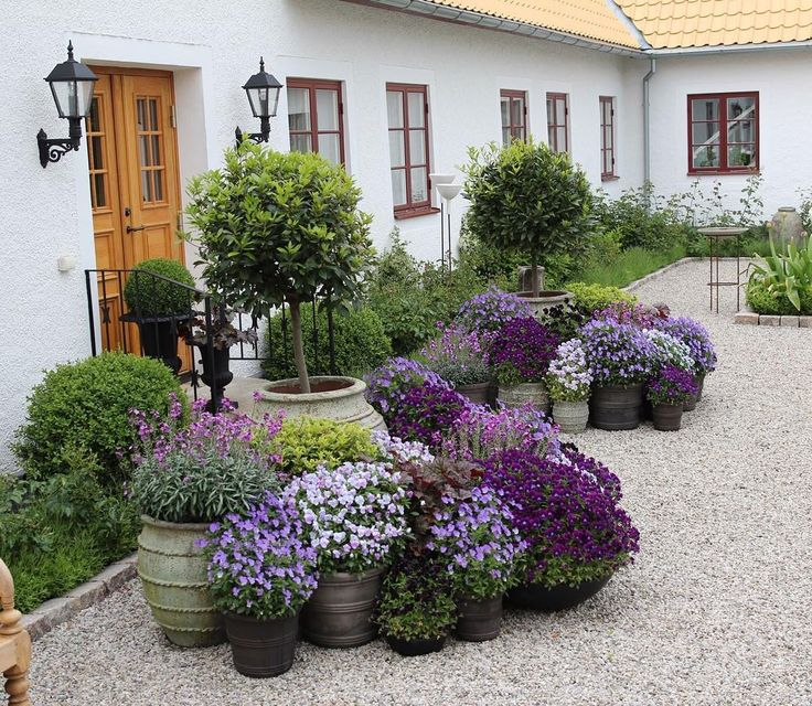 A Tiered Container Garden Southern Patio