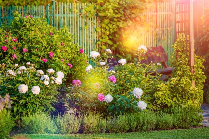 Summer Flower Garden Border Ideas