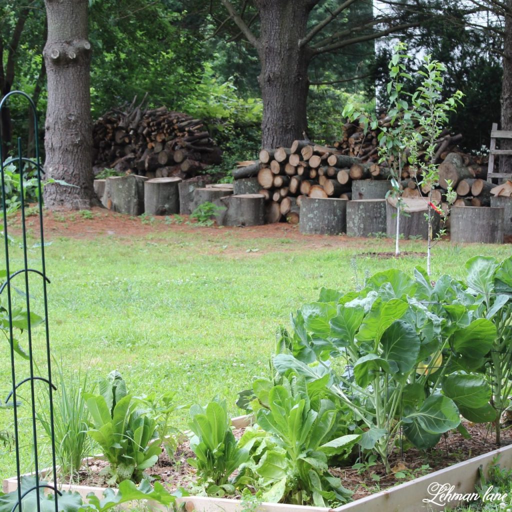 The Summer Garden Make