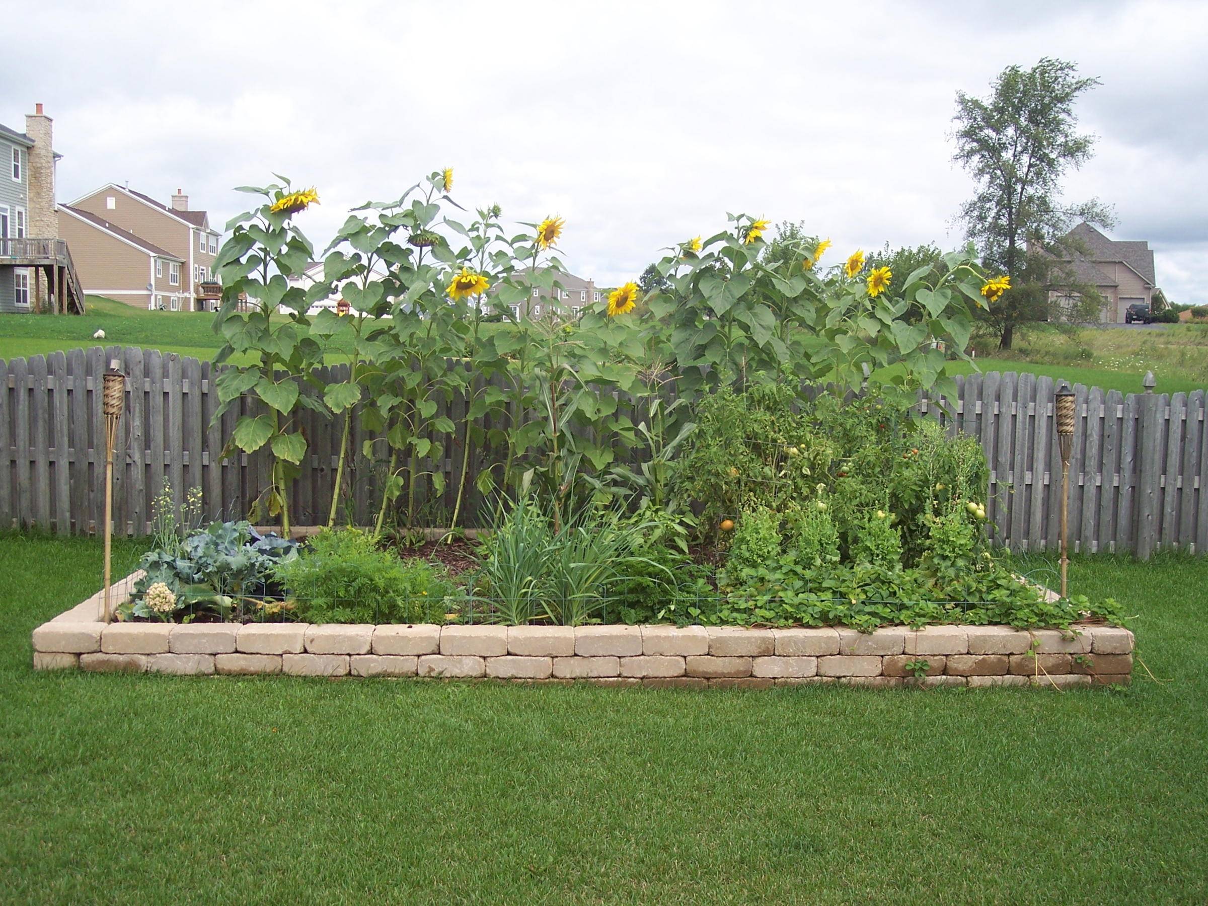 Latesummer Landscaping Tips Video