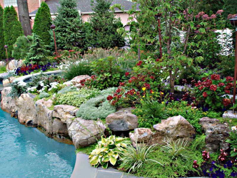 Late Summer Flower Garden