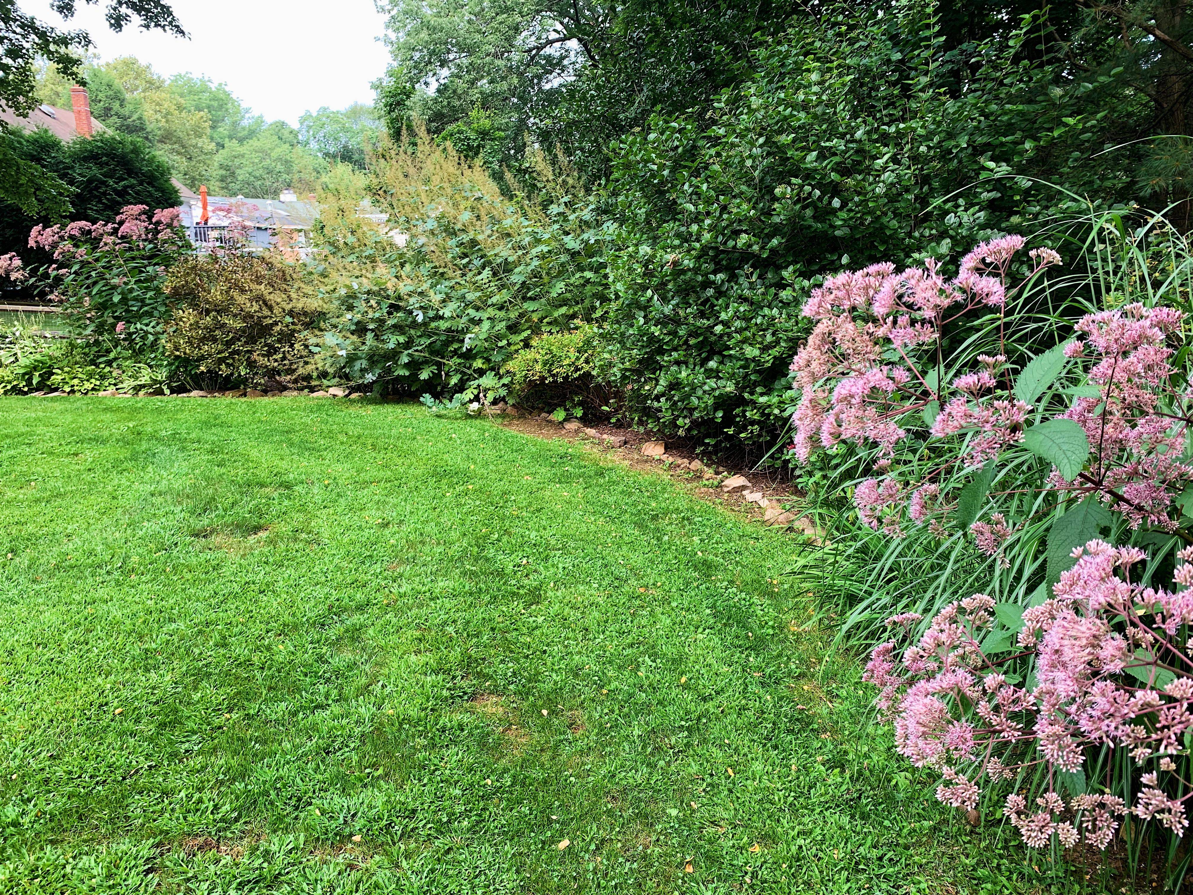 Late Summer Garden Backyard Landscaping