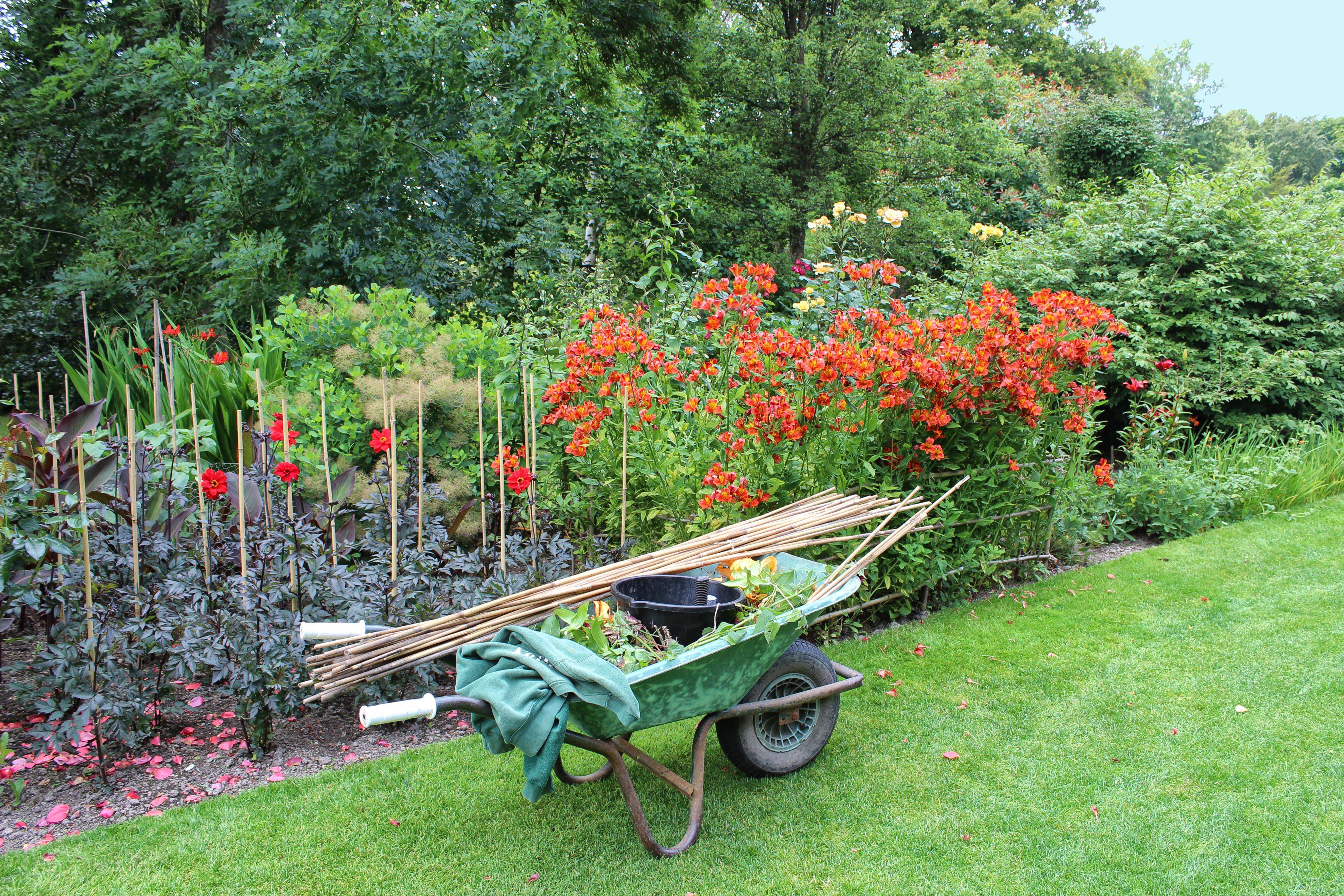 Late Summer Garden Ideas Plants Photo
