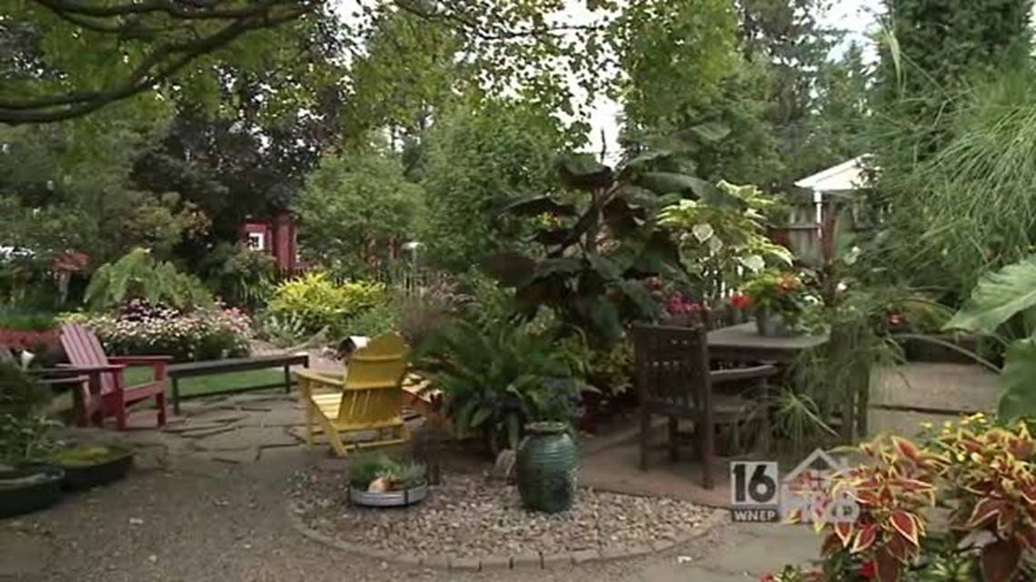 Late Summer Garden Tips Fairview Garden Center