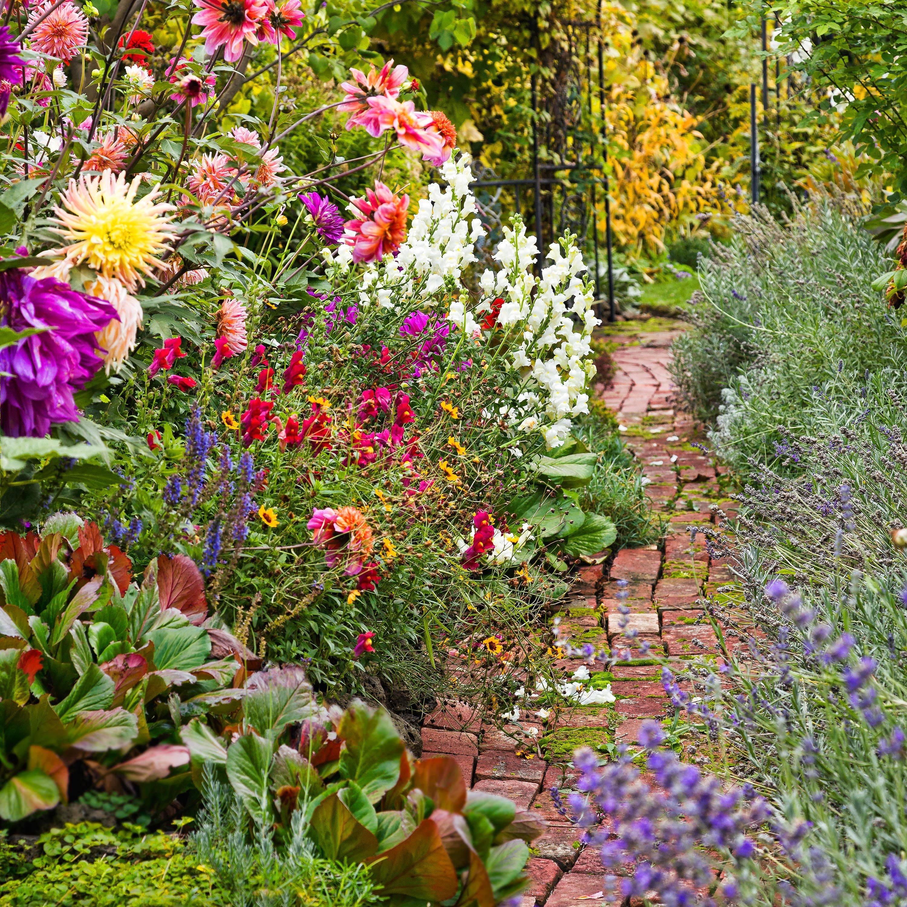 Late Summer Garden Tips