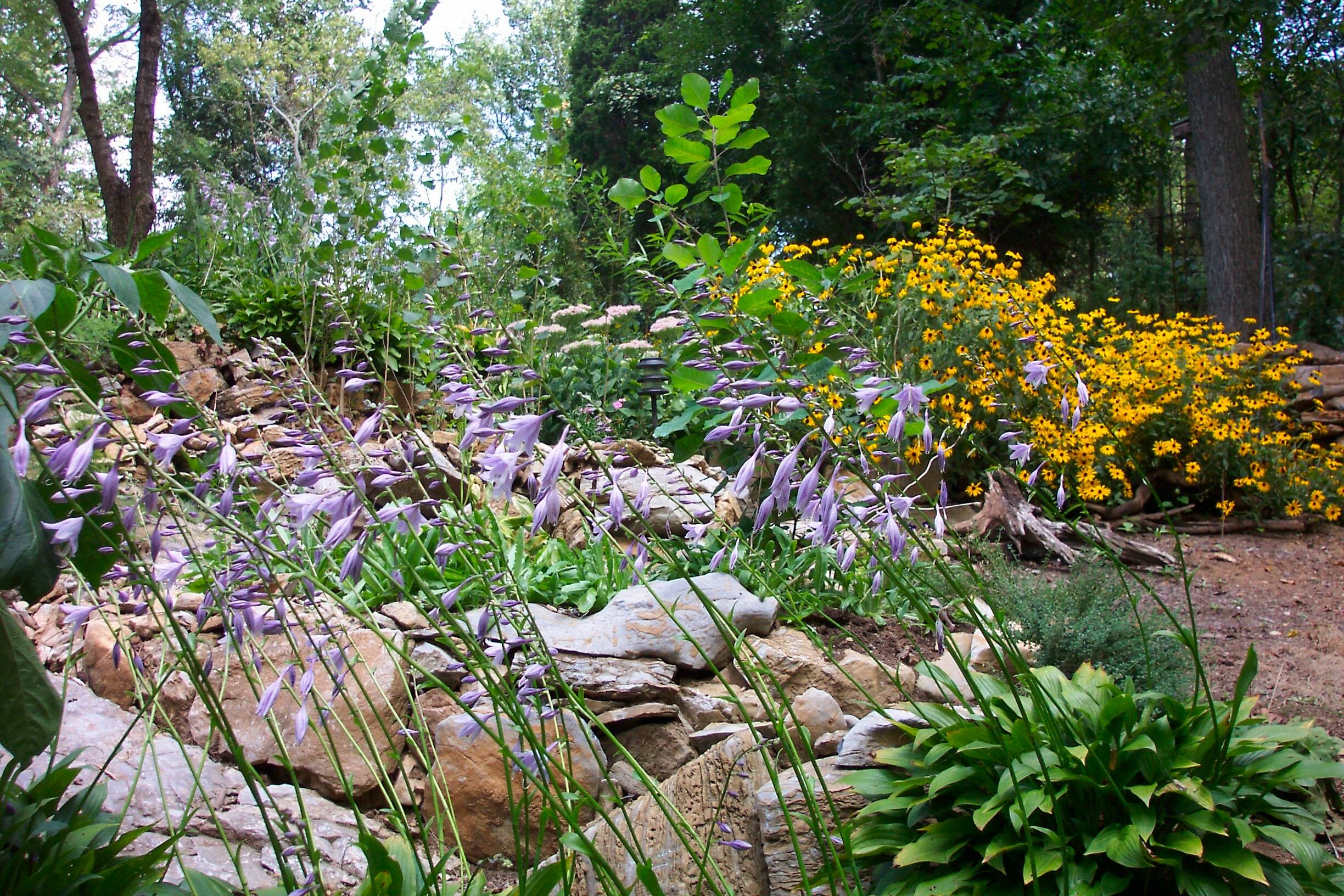 Late Summer Gardening Tips