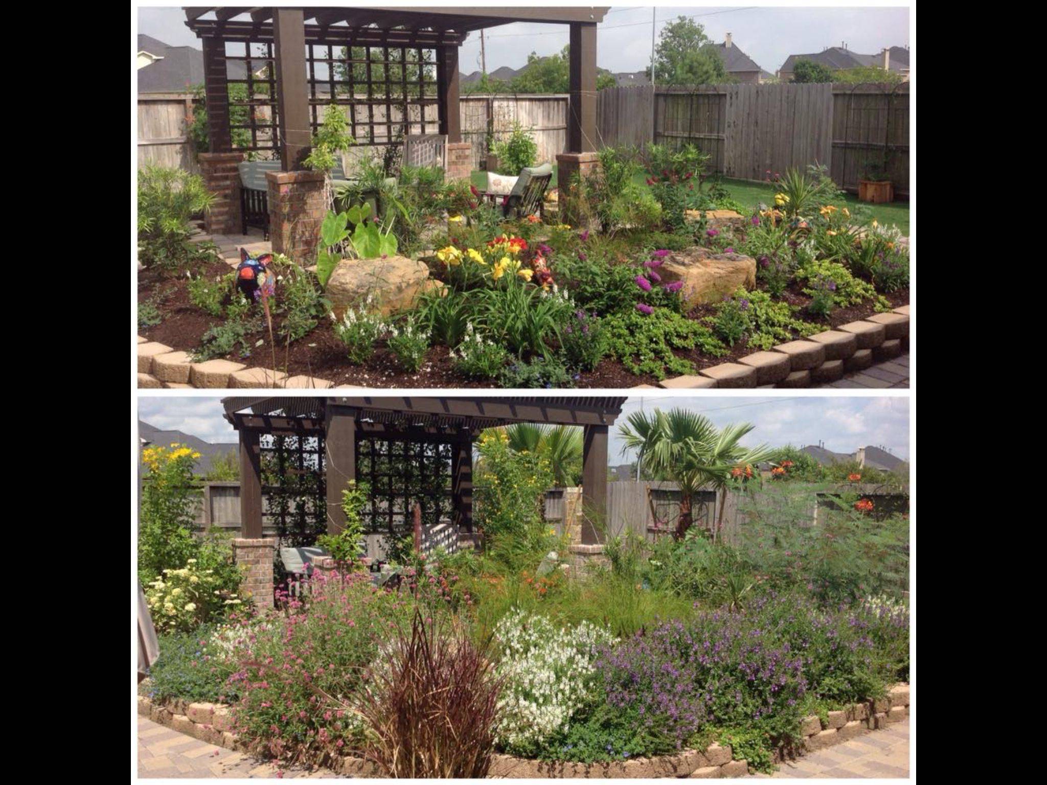 Late Summer Gardens