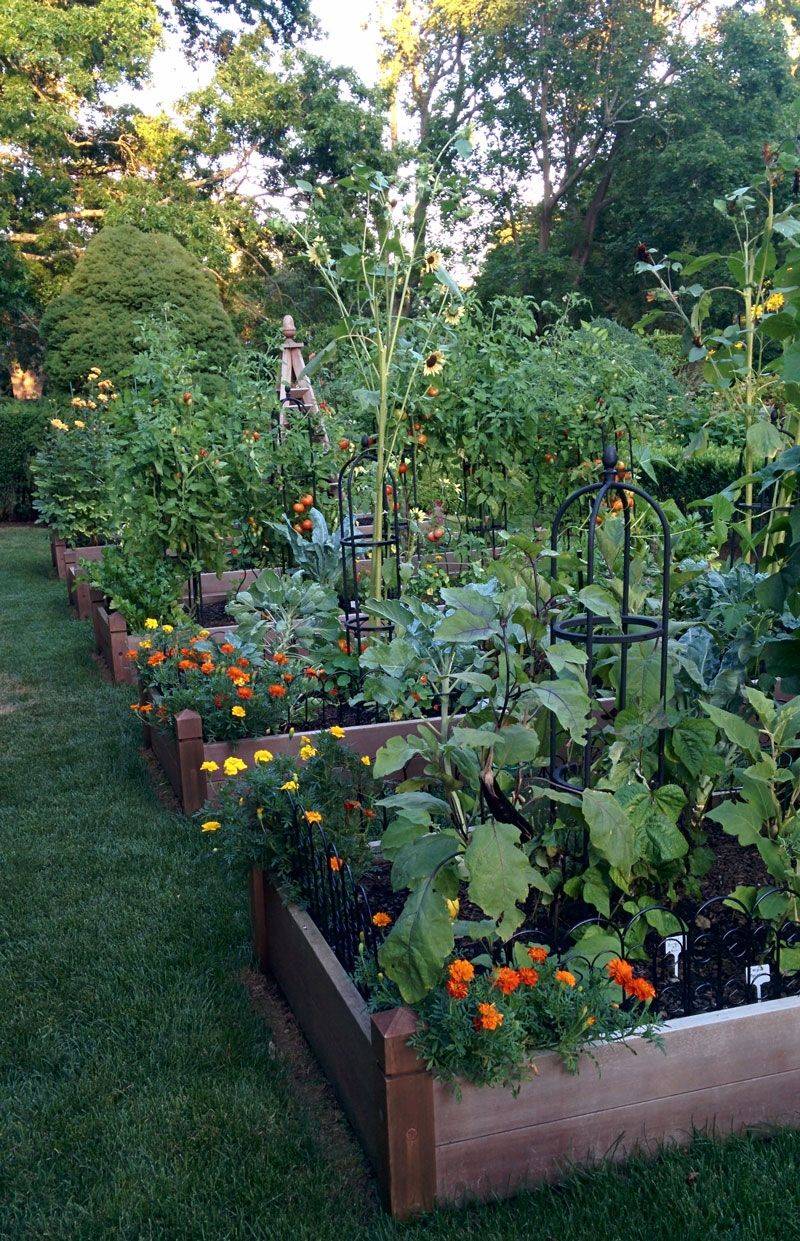 Late Summer Garden Ideas