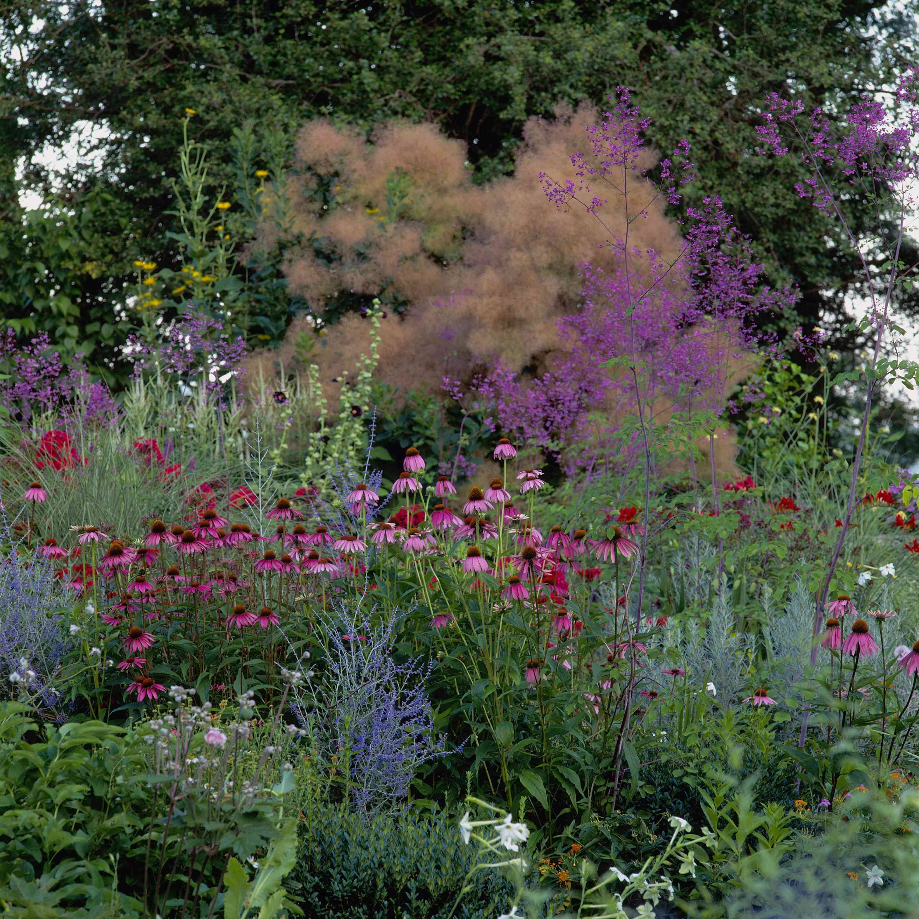 Your Cottage Garden Ideas Talkdecor