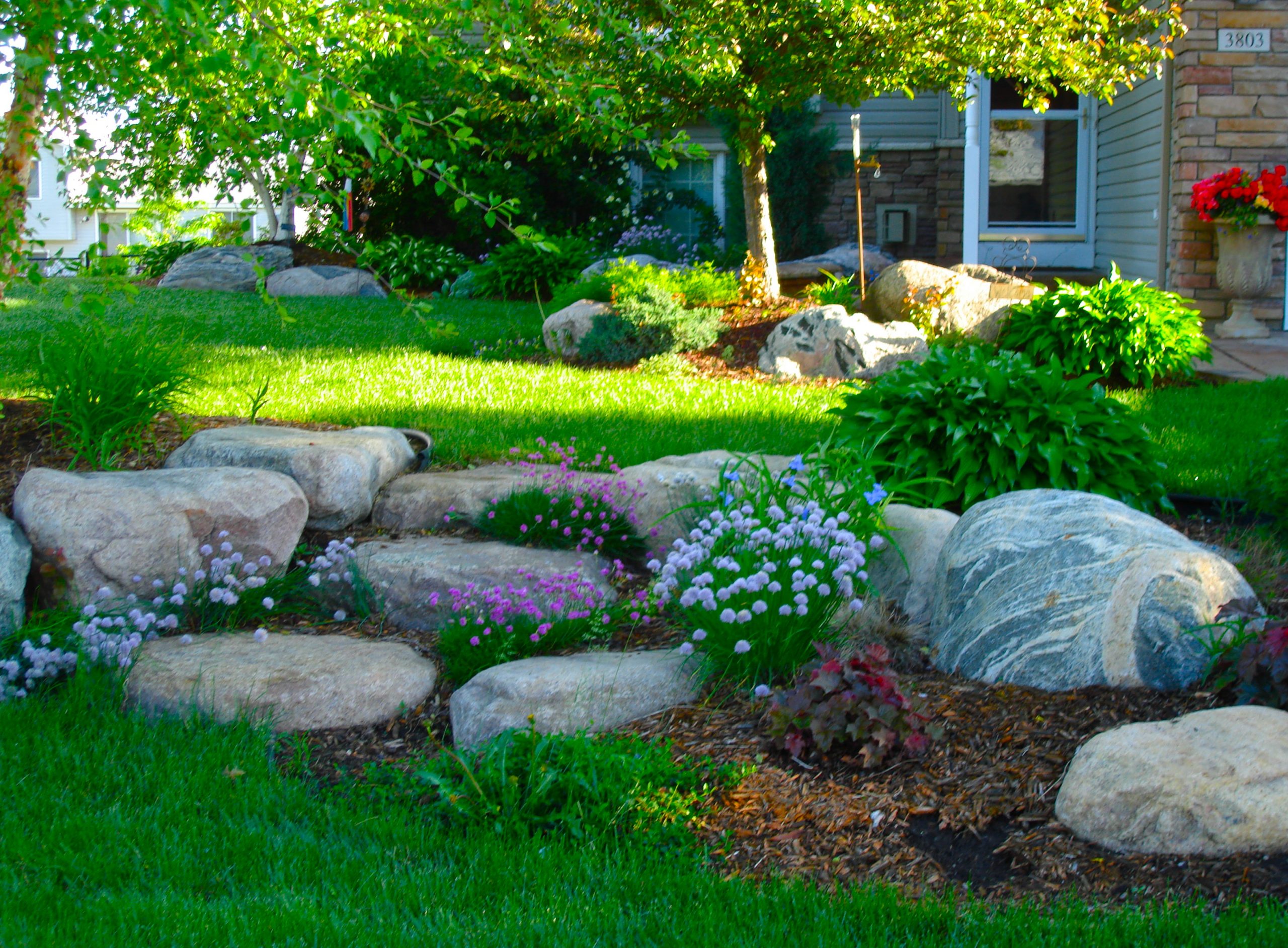 Landscape Ideas
