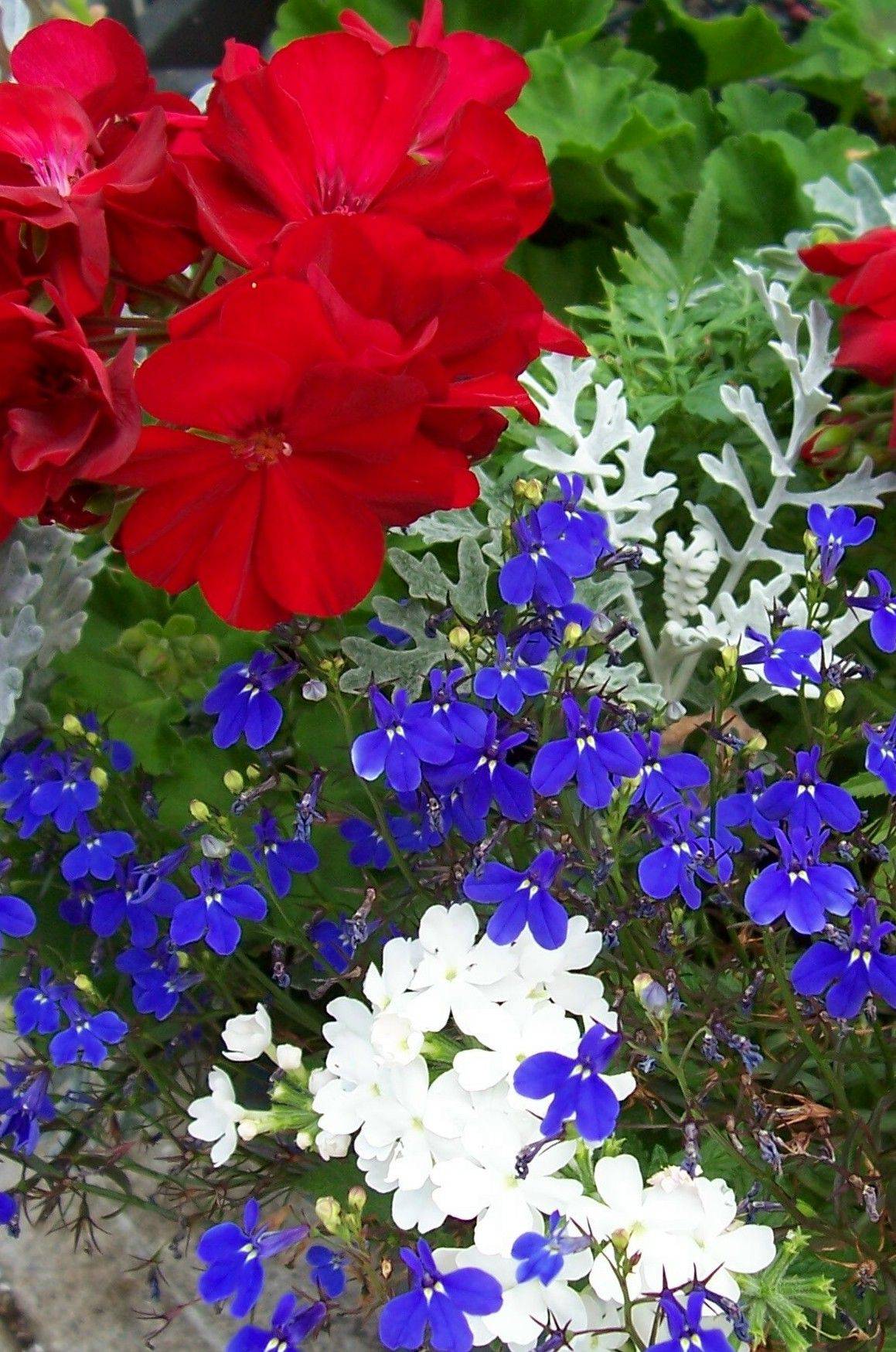 Simple Flower Bed Design Ideas