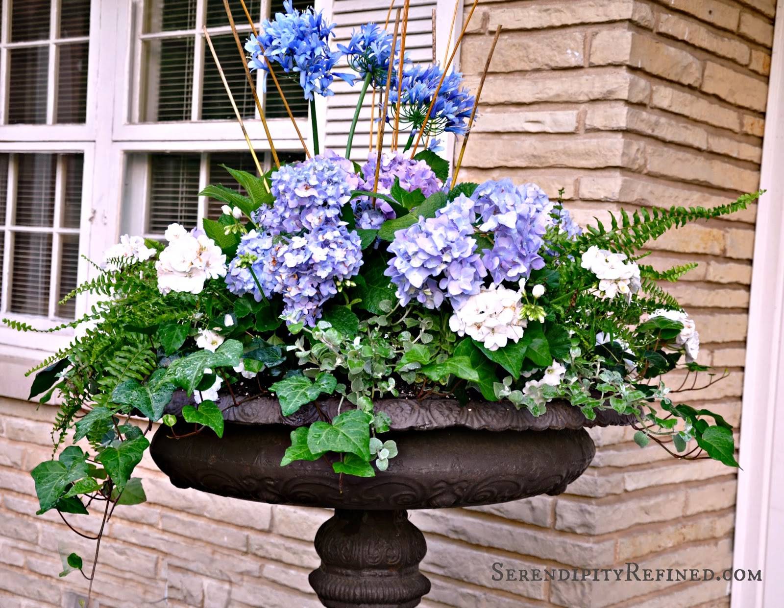 Ideas Flowers Arrangements Blue
