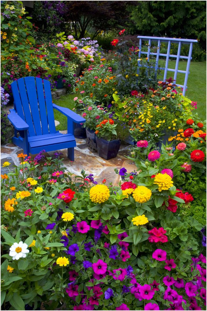 Gardening Ideas