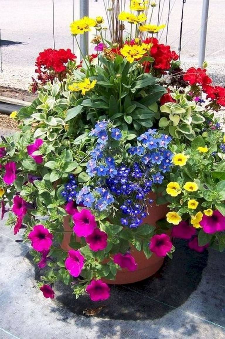Chic Summer Container Garden Flower Ideas