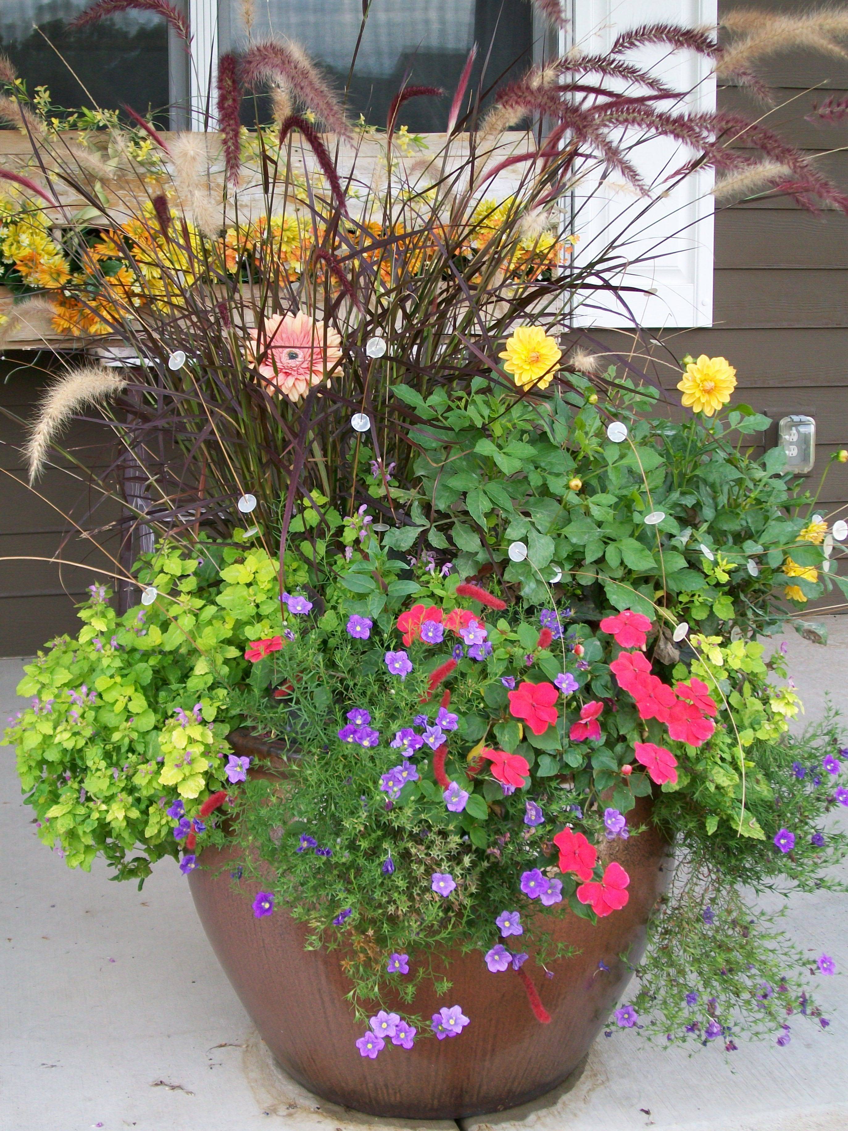 Wonderful Summer Container Garden Flower Ideas Page