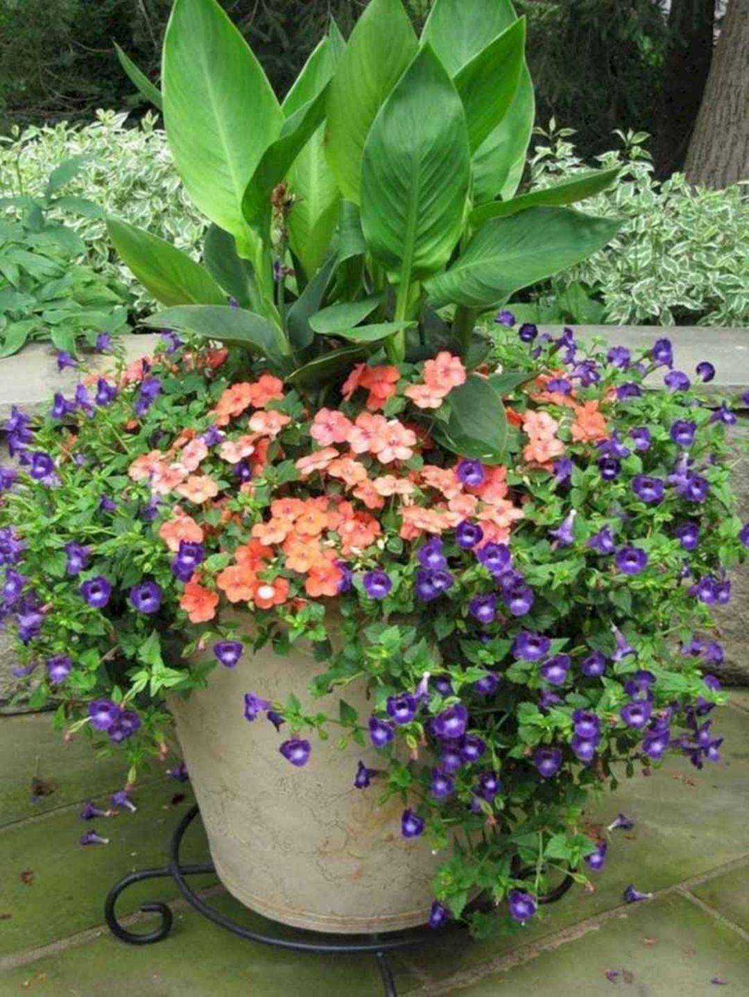 Fresh And Beautiful Summer Container Garden Flowers Ideas