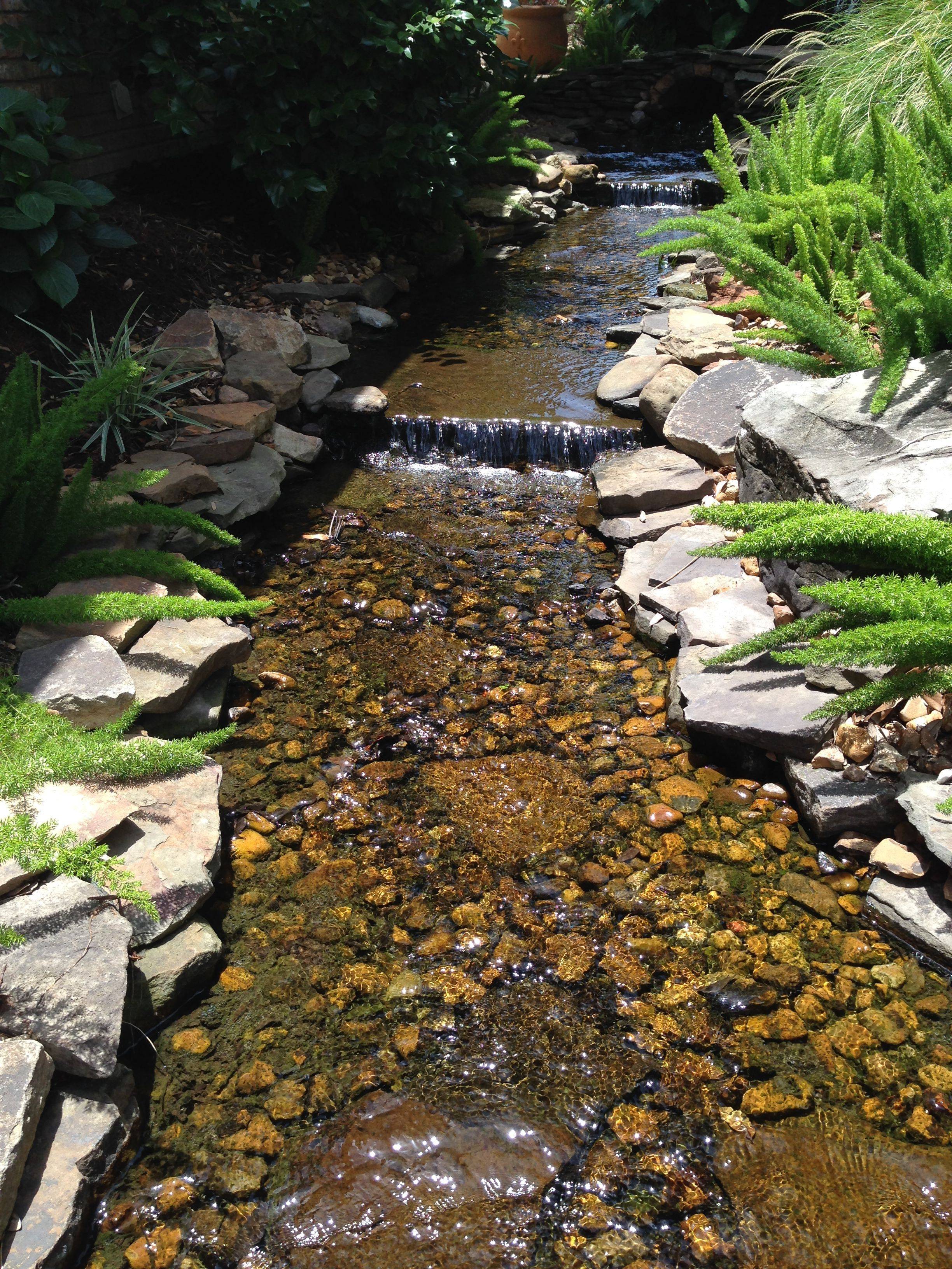 Dream Stream Gardenideas Landscaping Pinterest