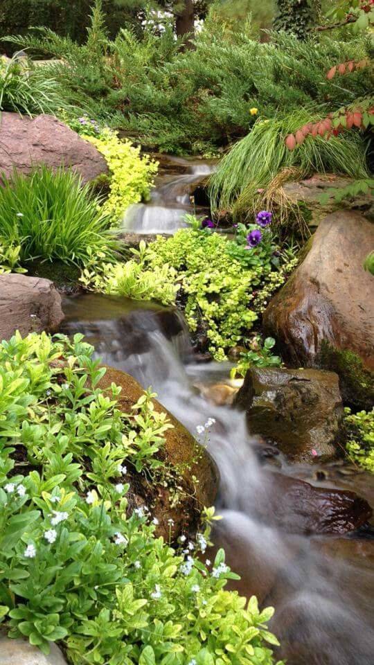 Streams Water Features